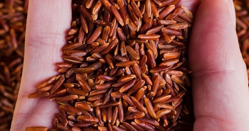 Menguak Segudang Manfaat Beras Merah untuk Kesehatan