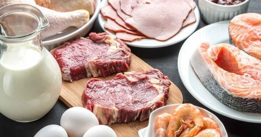 Protein Bahan Bakar dan Pembangun Utama Tubuh Kita