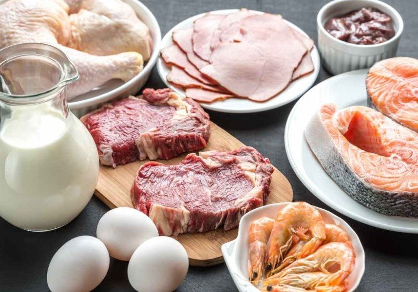 Protein Bahan Bakar dan Pembangun Utama Tubuh Kita