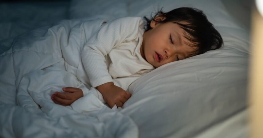 Tidur Siang Bukan Sekadar Istirahat Mari Menguak Segudang Manfaatnya bagi Tumbuh Kembang Si Kecil