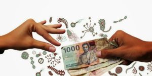 Bahaya Bakteri Pada Layar Smartphone Anda Ancaman Tersembunyi Bagi Kesehatan