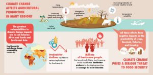 Dampak Perubahan Iklim Terhadap Ekonomi Sektor Pertanian Sebuah Analisis Mendalam Dan Strategi Adaptasi