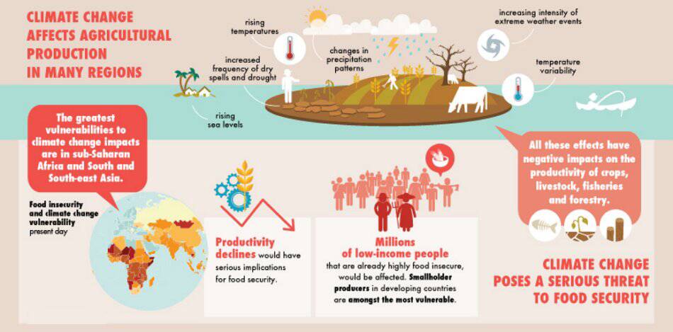 Dampak Perubahan Iklim Terhadap Ekonomi Sektor Pertanian Sebuah Analisis Mendalam Dan Strategi Adaptasi
