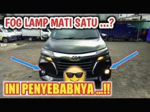 Mengapa Lampu Kabut Sering Putus Memahami Penyebab Lampu Kabut Cepat Mati Dan Cara Mengatasinya