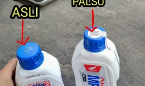 Panduan Lengkap Cara Membedakan Oli Mesin Asli Dan Palsu Untuk Perlindungan Kendaraan Anda